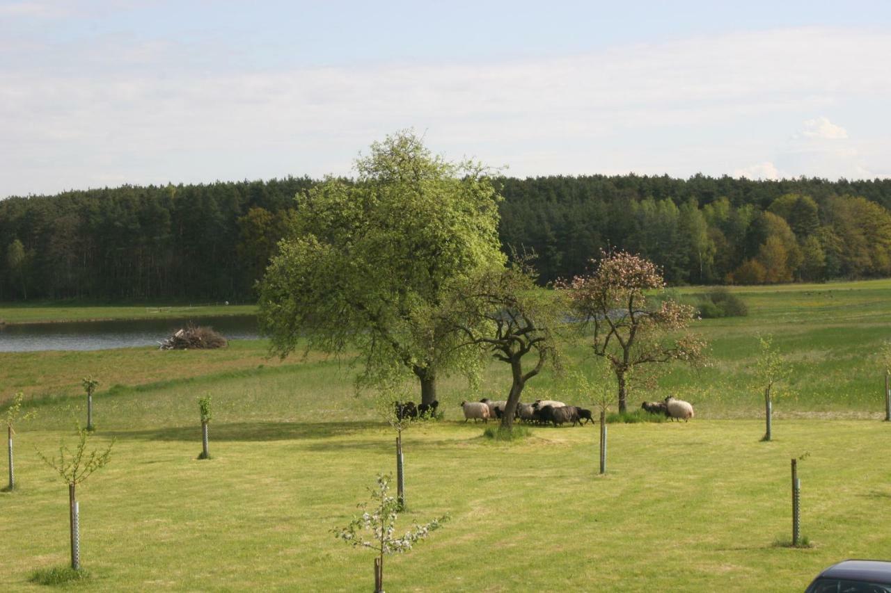 Ferienhaus Häusla *